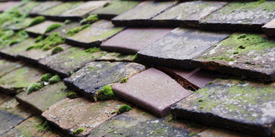 Waterhouses roof repair costs